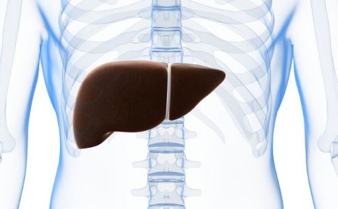 脂肪肝的危害有哪些 脂肪肝會誘發哪些疾病 脂肪肝如何調理