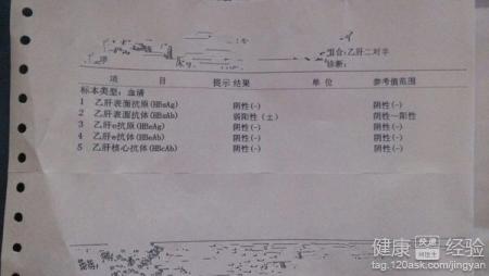 乙肝五項檢查結果分析的誤區