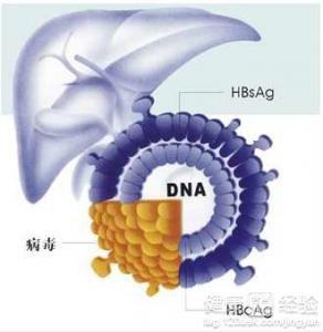 乙肝病毒攜帶者能否抽煙