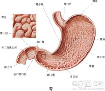 第3步