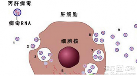 第1步