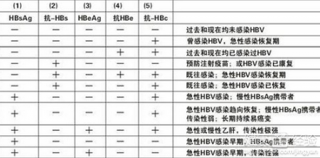 乙肝五項檢查結果分析