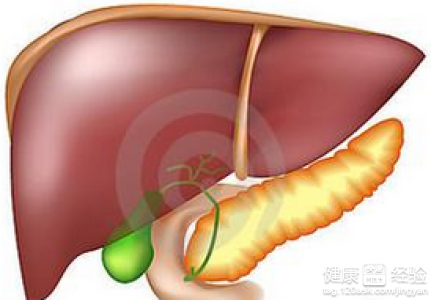 丙肝比甲肝乙肝更可怕丙肝對肝髒破壞不可逆