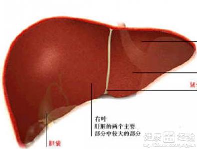 肝炎早期能治嗎