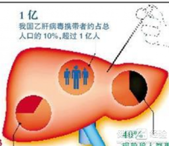 乙肝病毒攜帶者能治好嗎