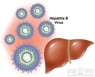 肝炎的分類及治療方法