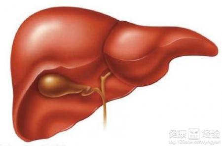 肝炎的傳染途徑有哪一些呢？