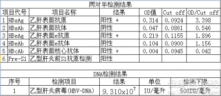 乙肝兩對半是什麼意思