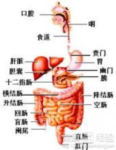 第3步