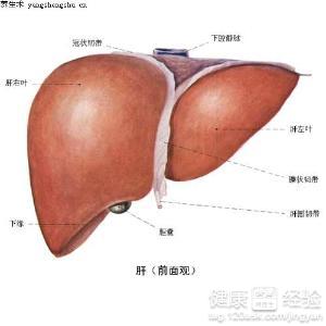 肝病的心理治療方法