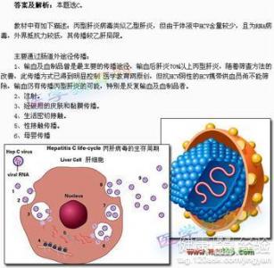 丙肝患者的口水會傳染嗎