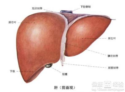 肝炎患者的飲食需要注意一些什麼？