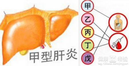 打甲肝疫苗前需要怎麼做