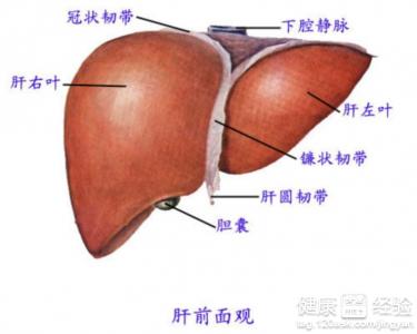 第3步