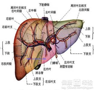 肝硬化腹水能活多久