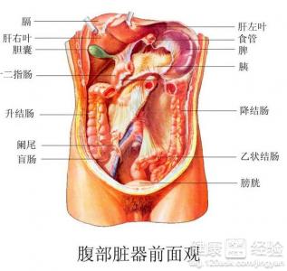 肝硬化腹水的治療