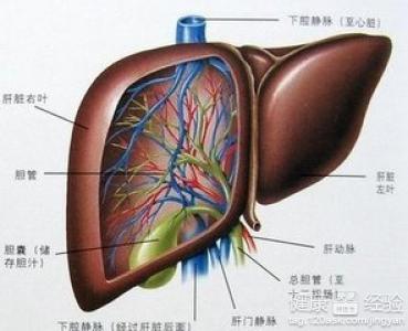 肝硬化腹水治療