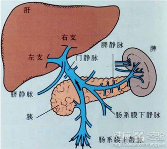 第2步