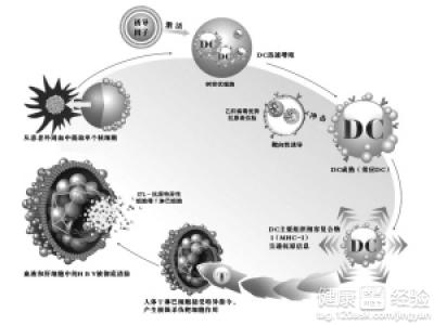 失代償性肝硬化脾切除後怎麼保養