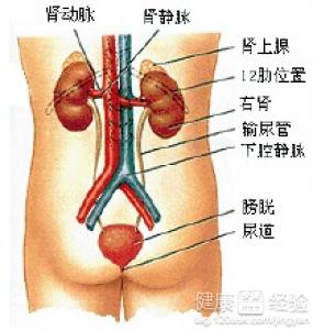 肝硬化並腹水是怎麼回事