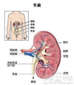 第3步