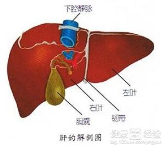 第2步