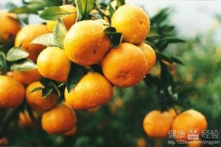 柑橘對酒精肝有一定療效