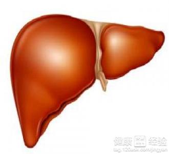 中度脂肪肝會有哪些症狀表現