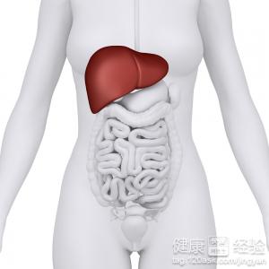 中度脂肪肝的食療方法