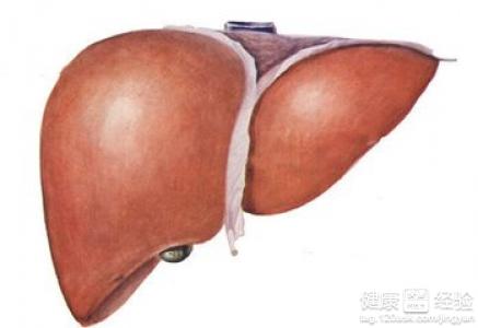 什麼是脂肪型脂肪肝