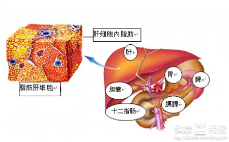 第1步