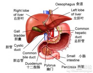 治療大三陽費用是多少