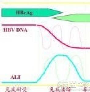 乙肝大三陽患者能喝酒嗎