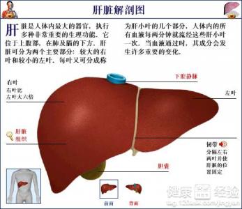 第3步