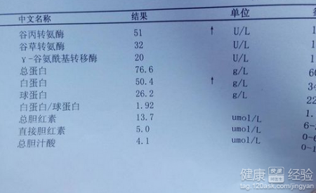 肝炎就會使谷丙轉氨酶偏高嗎