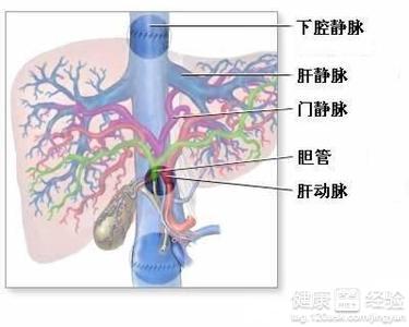 第3步