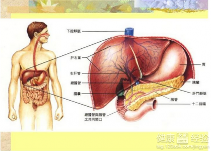 第1步