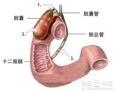 什麼是肝功能異常