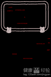 第2步