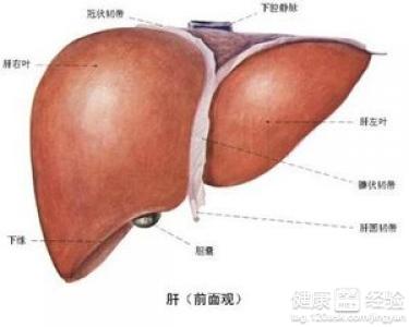 運動對肝功能異常的有好處嗎