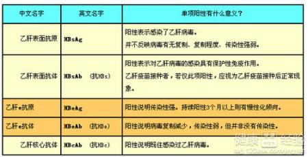 肝功能檢查45呈陽性是什麼意思