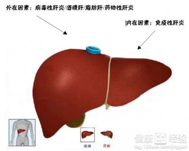 當肝功能患病怎麼辦？