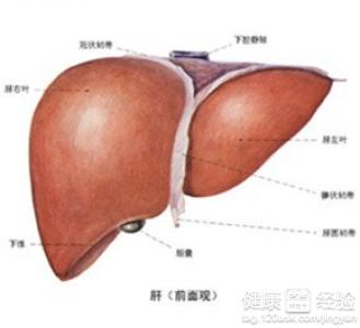 遺傳性肝病有什麼需要注意的？