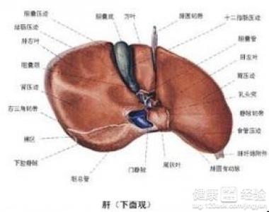 第1步