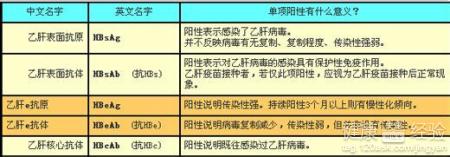 怎麼區分大三陽和小三陽