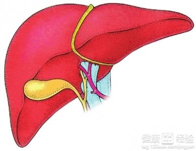 肝囊腫日常注意什麼