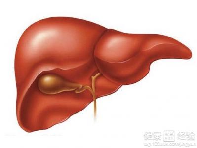 多發肝囊腫是怎麼回事
