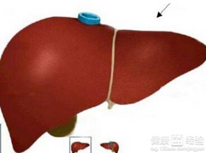 肝囊腫和腫瘤的區別