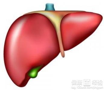 多發性肝囊腫是怎麼回事