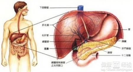 第1步